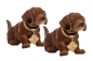Preview: Original Wackeldackel-Set 19 cm - Nimm 2