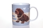 Preview: Wackeldackel Tasse + Brillen-Etui