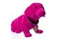 Preview: Wackeldackel pink 29 cm - mit Echtheits-Zertifikat