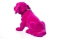 Preview: Wackeldackel pink 29 cm - mit Echtheits-Zertifikat